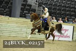 24BUCK_02157 thumbnail