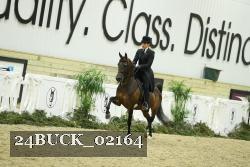 24BUCK_02164 thumbnail