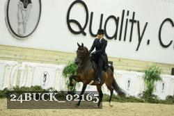 24BUCK_02165 thumbnail