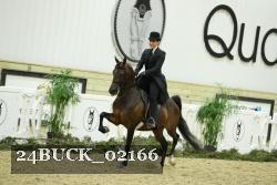 24BUCK_02166 thumbnail