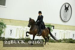 24BUCK_02167 thumbnail