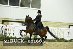 24BUCK_02168 thumbnail