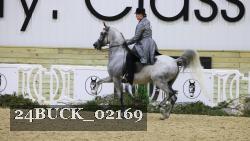 24BUCK_02169 thumbnail