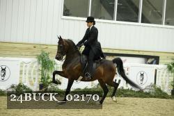 24BUCK_02170 thumbnail