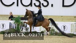 24BUCK_02171 thumbnail