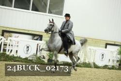 24BUCK_02173 thumbnail