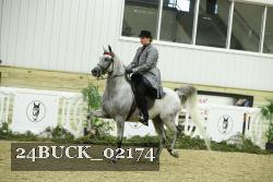 24BUCK_02174 thumbnail