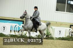 24BUCK_02175 thumbnail