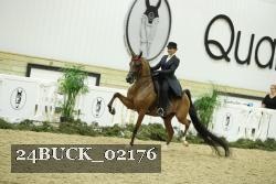 24BUCK_02176 thumbnail
