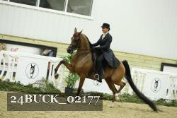 24BUCK_02177 thumbnail