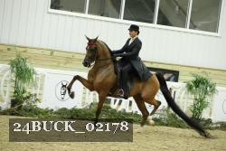 24BUCK_02178 thumbnail