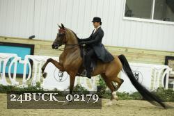 24BUCK_02179 thumbnail