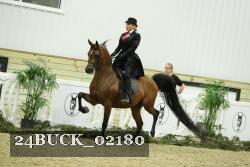 24BUCK_02180 thumbnail