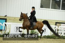 24BUCK_02182 thumbnail