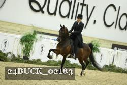 24BUCK_02183 thumbnail