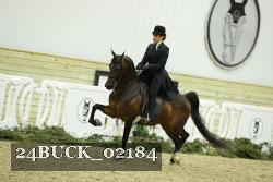 24BUCK_02184 thumbnail