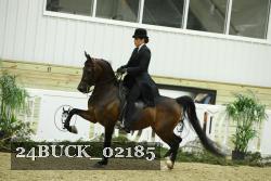 24BUCK_02185 thumbnail