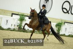 24BUCK_02188 thumbnail