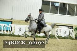 24BUCK_02192 thumbnail