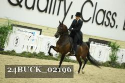 24BUCK_02196 thumbnail