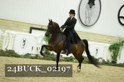 24BUCK_02197 thumbnail