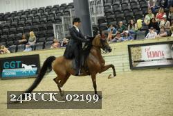 24BUCK_02199 thumbnail