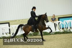 24BUCK_02200 thumbnail