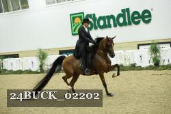 24BUCK_02202 thumbnail