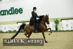 24BUCK_02203 thumbnail