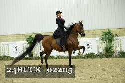 24BUCK_02205 thumbnail