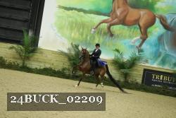 24BUCK_02209 thumbnail