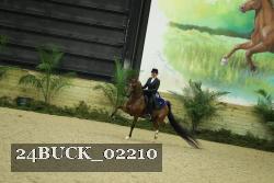 24BUCK_02210 thumbnail