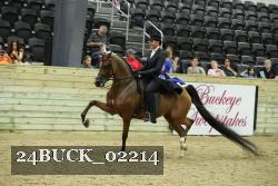 24BUCK_02214 thumbnail