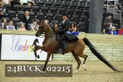 24BUCK_02215 thumbnail