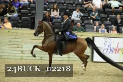 24BUCK_02218 thumbnail