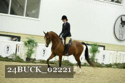 24BUCK_02221 thumbnail