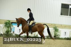24BUCK_02223 thumbnail