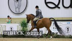 24BUCK_02224 thumbnail