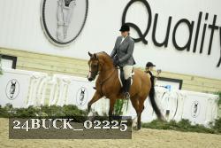24BUCK_02225 thumbnail