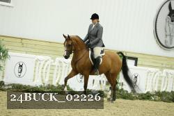 24BUCK_02226 thumbnail