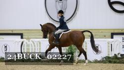 24BUCK_02227 thumbnail