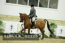 24BUCK_02228 thumbnail