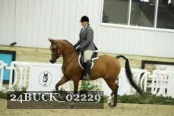 24BUCK_02229 thumbnail