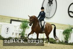 24BUCK_02230 thumbnail