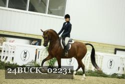 24BUCK_02231 thumbnail