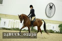 24BUCK_02239 thumbnail