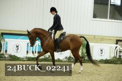 24BUCK_02241 thumbnail