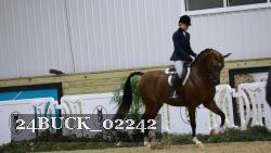 24BUCK_02242 thumbnail