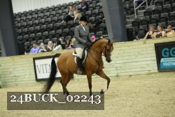 24BUCK_02243 thumbnail