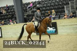 24BUCK_02244 thumbnail